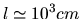 $l\simeq 10^{3}cm$