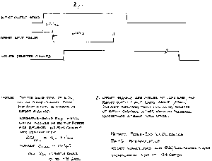 Timing for the Reset and ESC Generators