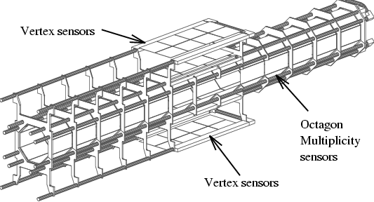 Octagon_frame.gif (174915 bytes)