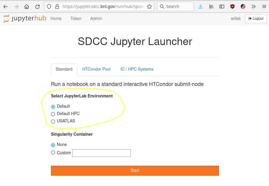 select jupyterlab radio button